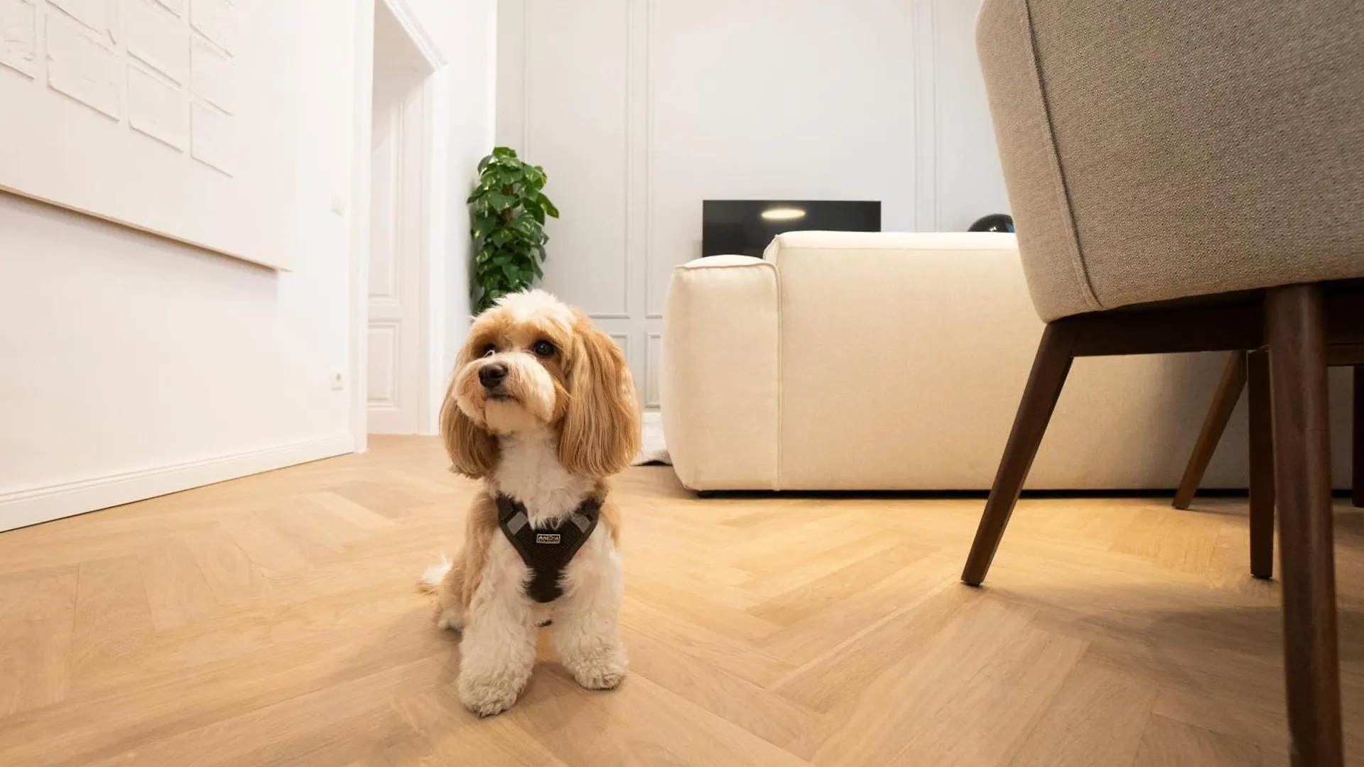 Stylish & Modern 90M2 Flat In Prime Location Apartment Vienna Austria