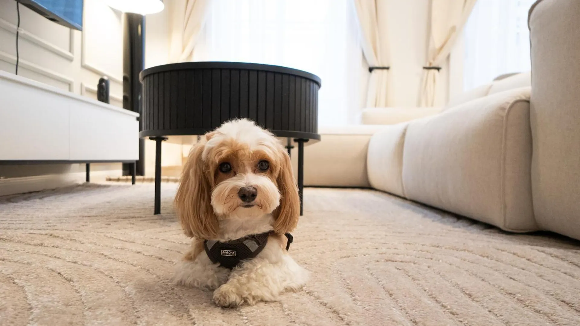 비엔나 Stylish & Modern 90M2 Flat In Prime Location 아파트 오스트리아
